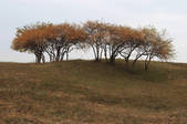 tkf002_100354