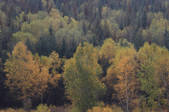 tkf002_100359