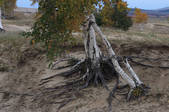 tkf002_100371