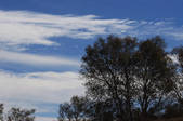 tkf002_100385