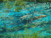 tkf002_100662