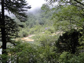 tkf002_100685