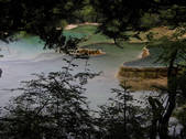 tkf002_100690
