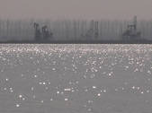 tkf002_100913