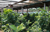 tkf002_101005