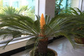 tkf002_101256