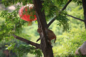 tkf002_101269