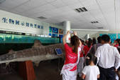 tkf002_101378