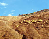 tkm002_100665