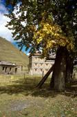 tkm002_100669