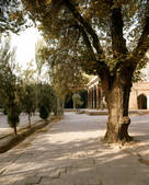 tkm002_100780