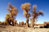 tkm002_100795