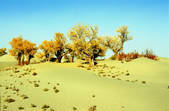tkm002_100799