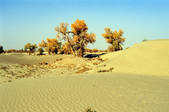 tkm002_100805
