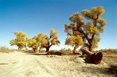 tkm002_100806