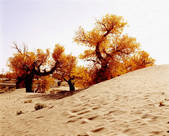 tkm002_100811