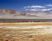 tkm002_100862