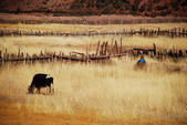 tkf002_102642