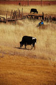 tkf002_102645
