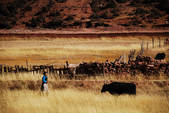 tkf002_102650