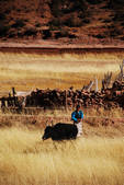 tkf002_102651