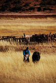tkf002_102652