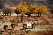 tkf002_102697