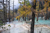 tkf002_103281