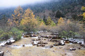 tkf002_103286