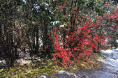 tkf002_103639