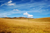 tkm002_106781
