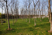 tkm002_106858