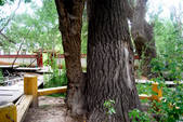 tkm002_107031