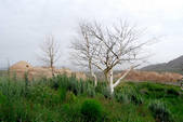 tkm002_107033