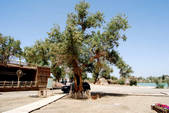 tkm002_107231