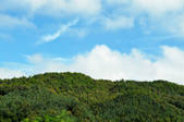 tkf002_118784