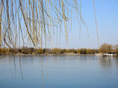 tkf002_132633