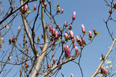 tkf002_133329