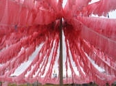tkf002_108109