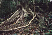 tkm002_108491
