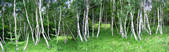 tkm002_109505