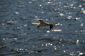 tkf002_108948