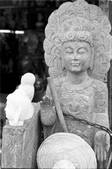 tkf002_110692