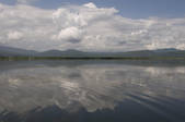 tkf002_110846