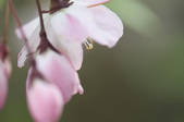 tkf002_111113