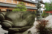 tkf002_111169