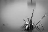 tkf002_111390
