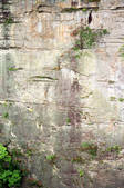 tkm002_110346