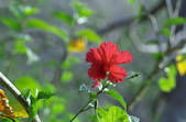 tkm002_110781