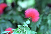 tkm002_110784